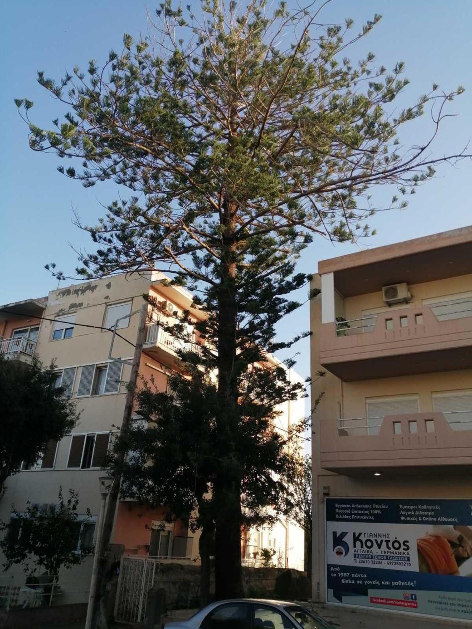 Apartment 29 Rhodes City エクステリア 写真